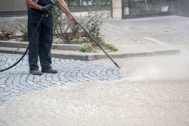 Best Pre-Holiday Cleaning  in Scranton, PA